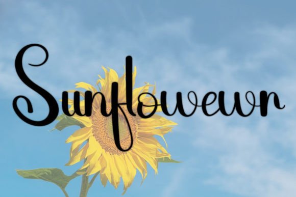 Havana Font - Preview 3