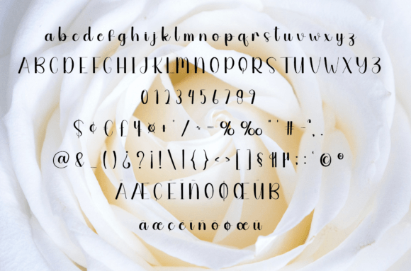 Beetle Font - Preview 4