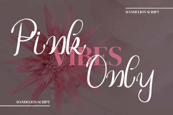 Dandelion Font - Preview 2