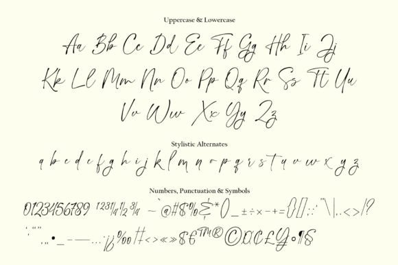 Handsome Lasting Font - Preview 6