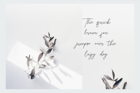 Patoryi Font PNG with transparent background - Preview 3