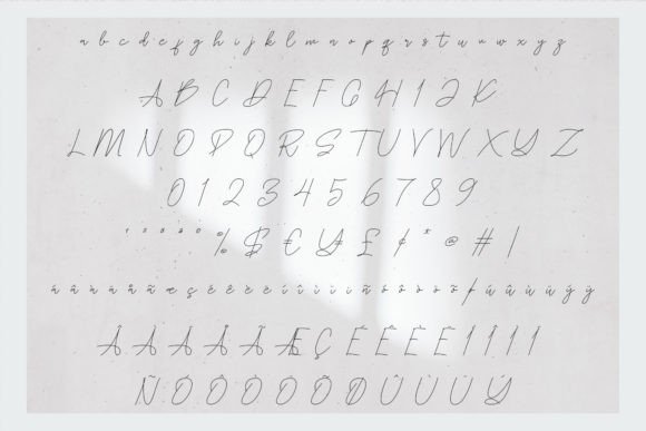 Patoryi Font PNG with transparent background - Preview 4