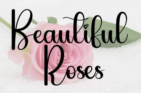 Rubicon Font PNG with transparent background - Preview 2
