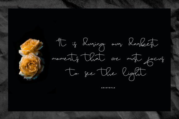Sameday Font PNG with transparent background - Preview 3