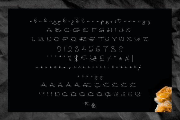 Sameday Font PNG with transparent background - Preview 4