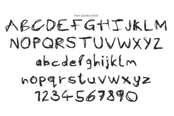 Now Spiders Bold Font PNG with transparent background - Preview 1