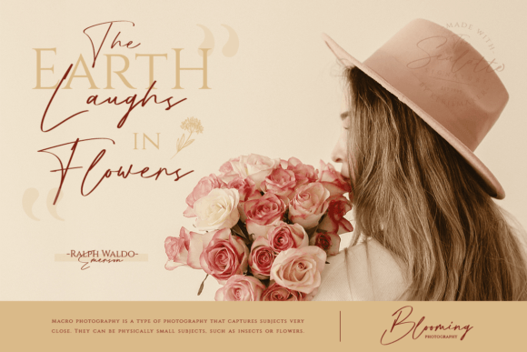 Sealatte Font PNG with transparent background - Preview 2