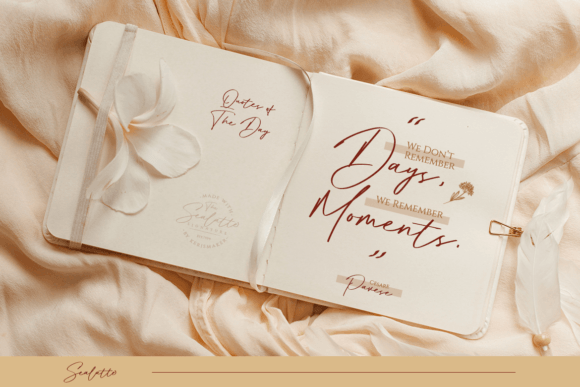 Sealatte Font PNG with transparent background - Preview 5