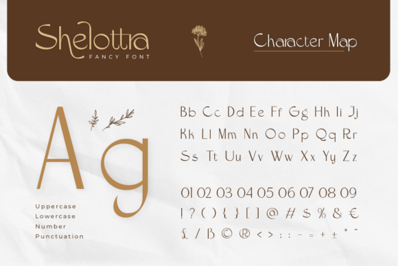 Shelottra Font PNG with transparent background - Preview 1