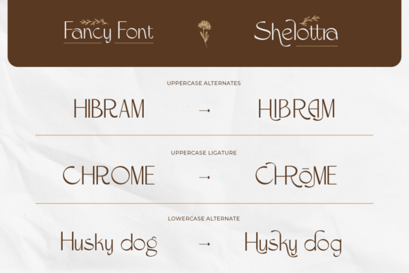 Shelottra Font PNG with transparent background - Preview 4