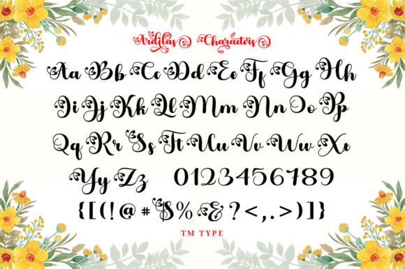 Ardilas Font - Preview 6