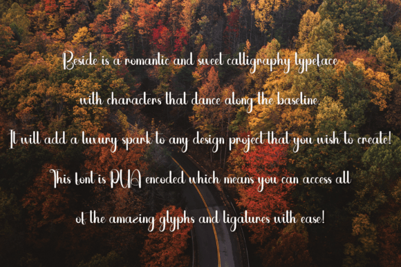 Beside Font - Preview 5