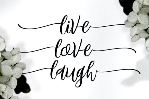 Birdland Font - Preview 1
