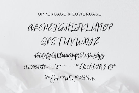 Birdland Font - Preview 5
