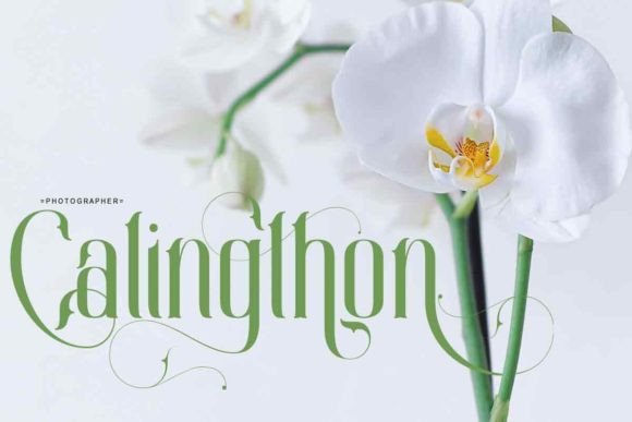 Calingthon Font - Preview 4
