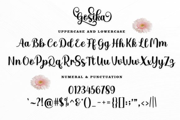 Gasika Font - Preview 6