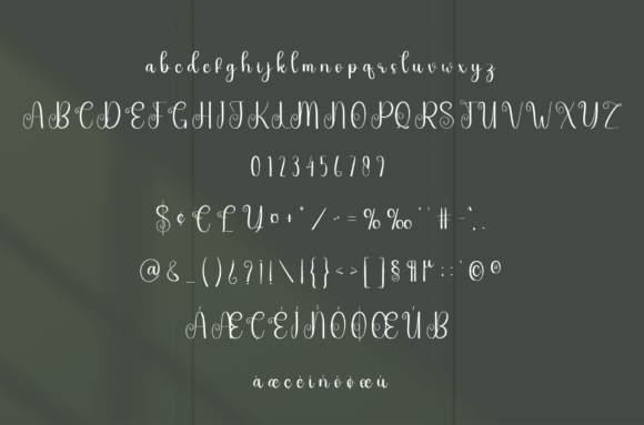 Aliveness Font - Preview 5