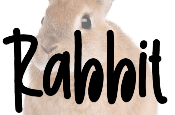 Picture Book Font PNG with transparent background - Preview 2