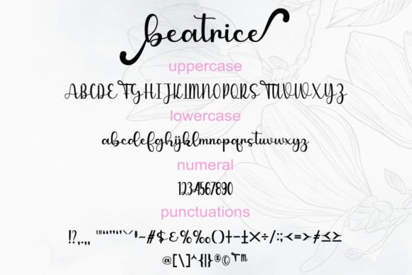 Beatrice Font - Preview 4