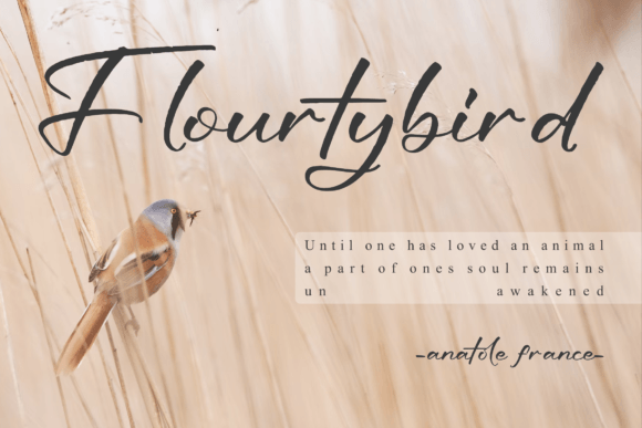 Huhansky Bohemian Font - Preview 4