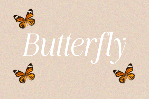Quincity Font PNG with transparent background - Preview 2