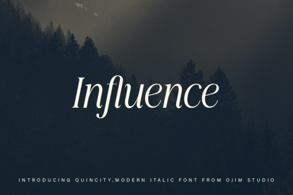 Quincity Font PNG with transparent background - Preview 3