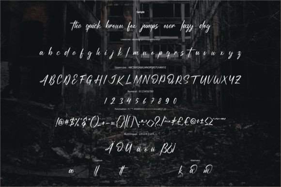 Disttricka Font - Preview 5