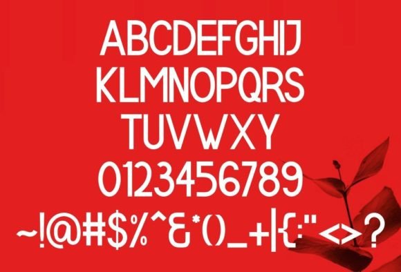 Pro Balance Font PNG with transparent background - Preview 4