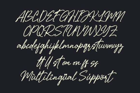 Jotosan Signature Font PNG with transparent background - Preview 3