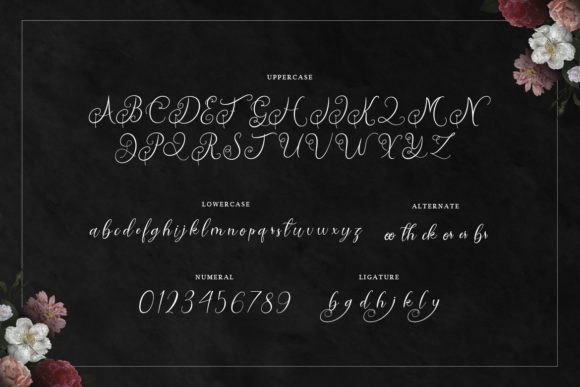 Dischlay Font - Preview 1
