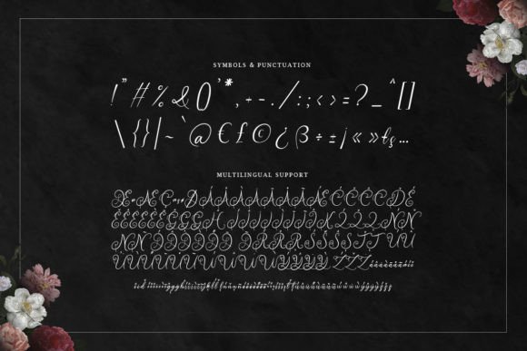 Dischlay Font - Preview 2