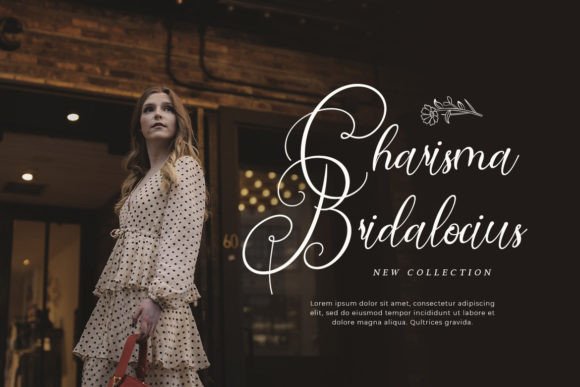 Dischlay Font - Preview 4
