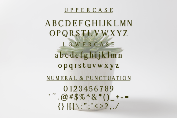 Baldone Font - Preview 5