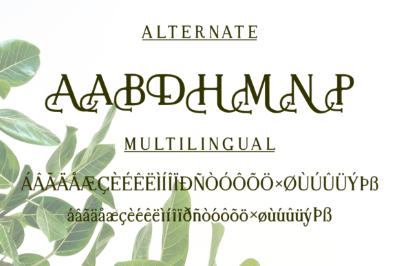 Baldone Font - Preview 6
