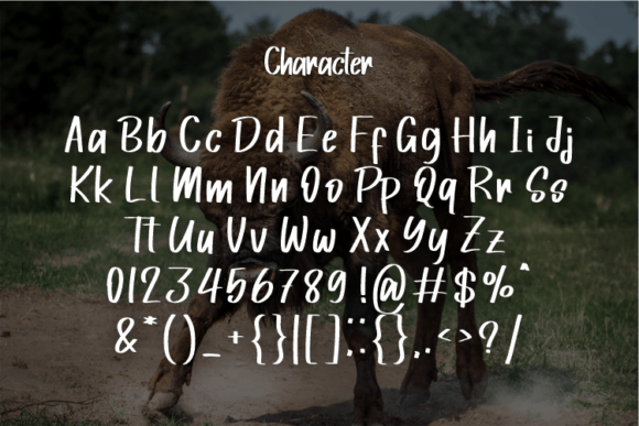 Bullshit Font - Preview 1