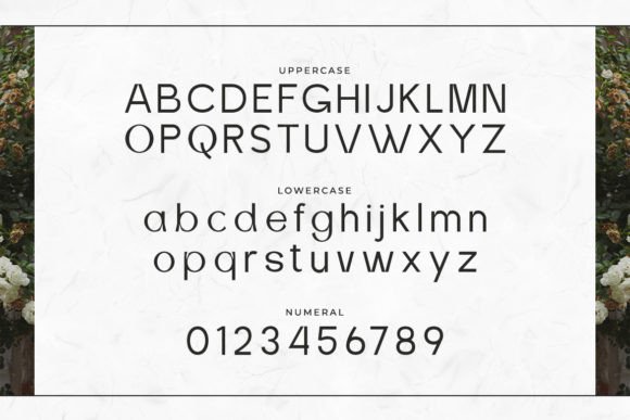 Memorick Font PNG with transparent background - Preview 1