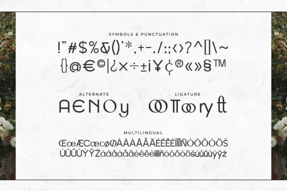 Memorick Font PNG with transparent background - Preview 2
