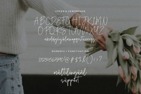 Midnight Wonders Font PNG with transparent background - Preview 4