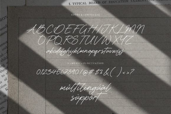 Signature Forest Font PNG with transparent background - Preview 6
