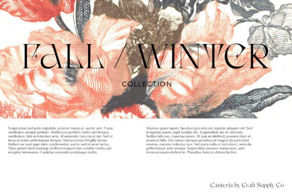 Canteria Font - Preview 5