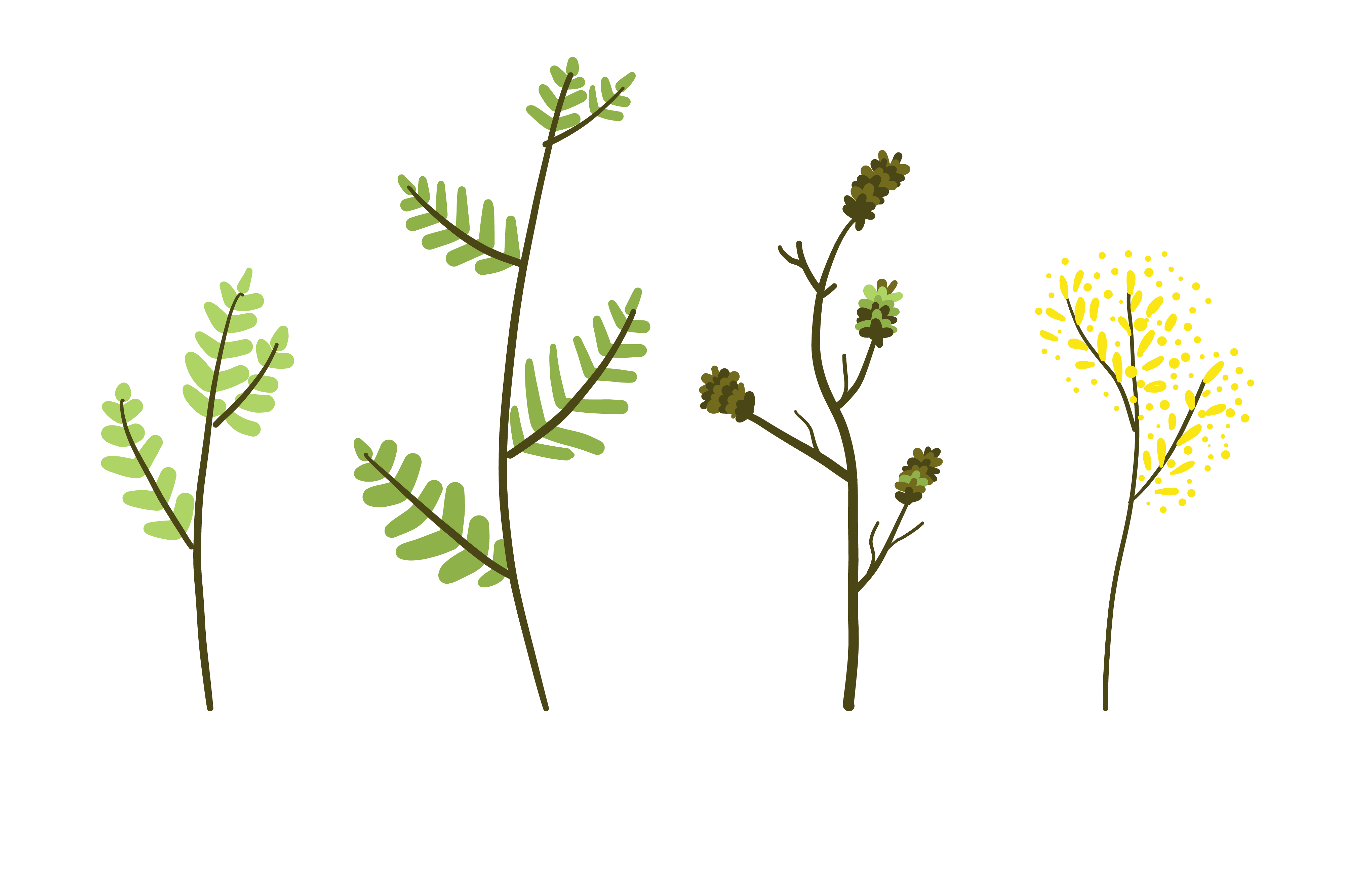 Flower Plant Drawing Graphic by maodesignku  Creative Fabrica