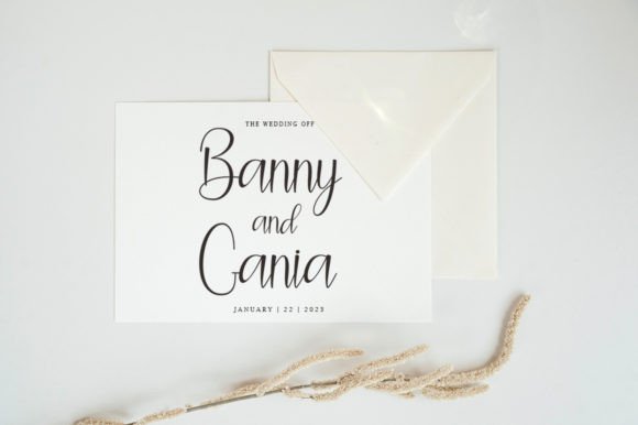 Camila Font - Preview 1