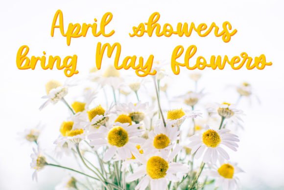Delicate Daisy Font PNG with transparent background - Preview 1