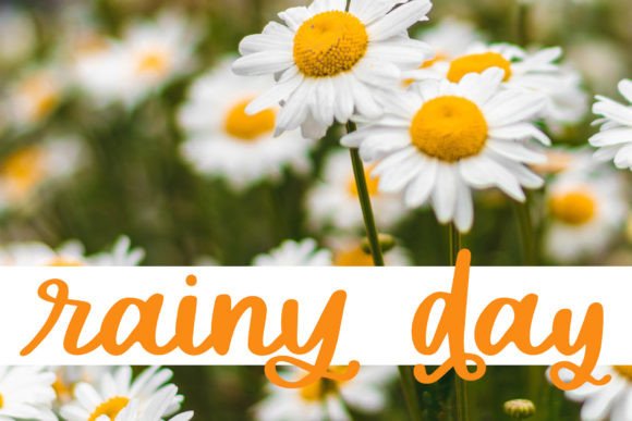 Delicate Daisy Font PNG with transparent background - Preview 2