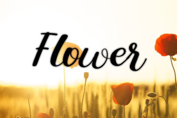 Hollo Font PNG with transparent background - Preview 1