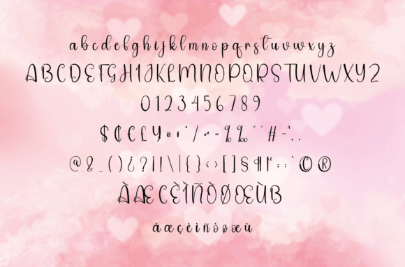 Beautiful Font - Preview 4