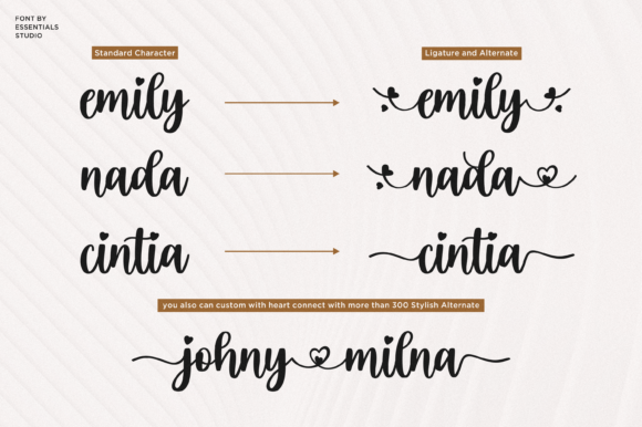 Eilysa Luise Font - Preview 3