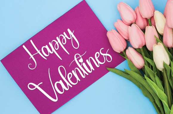 February Font - Preview 4