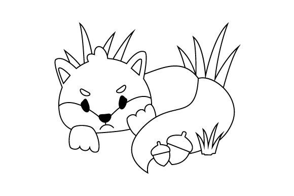 Squirrel, Coloring Page for Kids