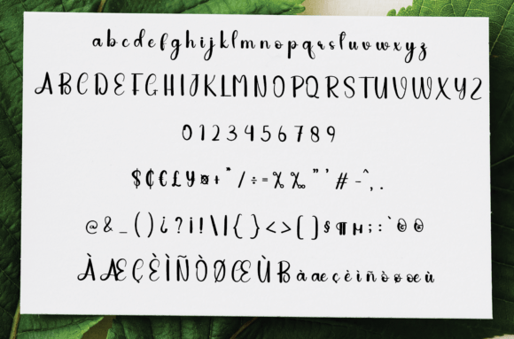 Bakery Font - Preview 5